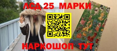 кокс Кингисепп