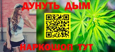 кокс Кингисепп