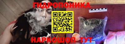 кокс Кингисепп