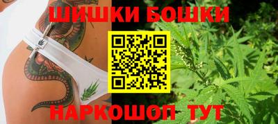 кокс Кингисепп