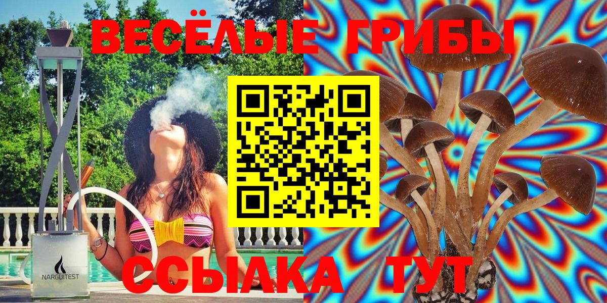 Псилоцибиновые грибы MAGIC MUSHROOMS  Вход с VPN  Алапаевск 